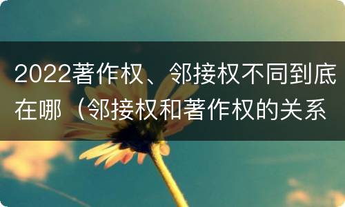 2022著作权、邻接权不同到底在哪（邻接权和著作权的关系是什么）