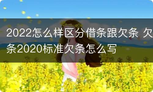 2022怎么样区分借条跟欠条 欠条2020标准欠条怎么写