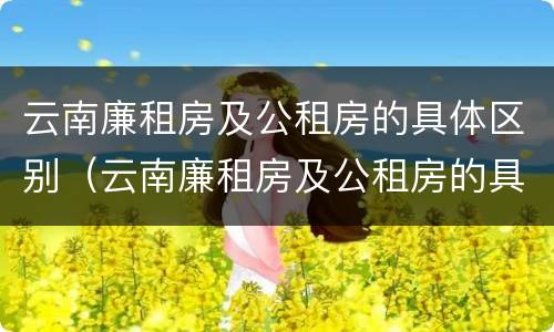 云南廉租房及公租房的具体区别（云南廉租房及公租房的具体区别在哪里）