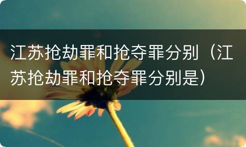 江苏抢劫罪和抢夺罪分别（江苏抢劫罪和抢夺罪分别是）