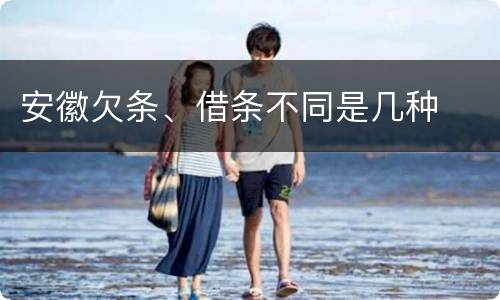 安徽欠条、借条不同是几种