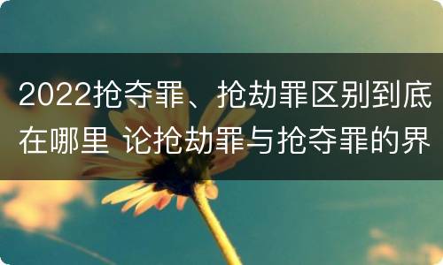 2022抢夺罪、抢劫罪区别到底在哪里 论抢劫罪与抢夺罪的界限