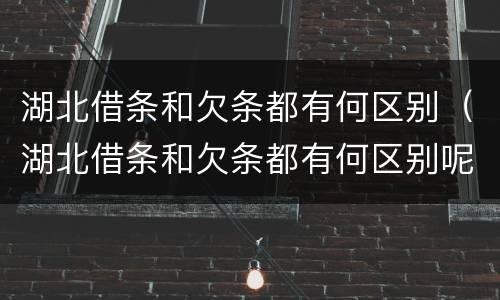 湖北借条和欠条都有何区别（湖北借条和欠条都有何区别呢）