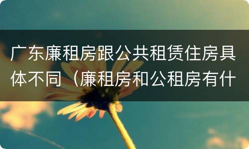 广东廉租房跟公共租赁住房具体不同（廉租房和公租房有什么区别广州）