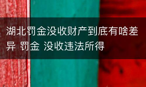 湖北罚金没收财产到底有啥差异 罚金 没收违法所得