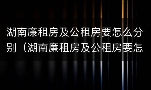 湖南廉租房及公租房要怎么分别（湖南廉租房及公租房要怎么分别摇号）