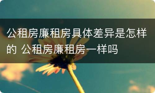 公租房廉租房具体差异是怎样的 公租房廉租房一样吗