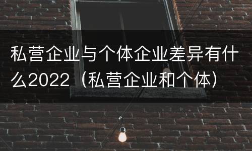 私营企业与个体企业差异有什么2022（私营企业和个体）
