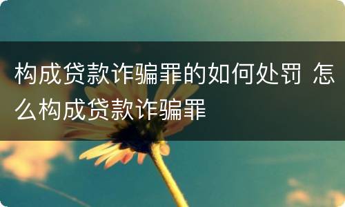 构成贷款诈骗罪的如何处罚 怎么构成贷款诈骗罪