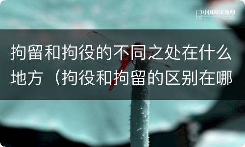 拘留和拘役的不同之处在什么地方（拘役和拘留的区别在哪里）