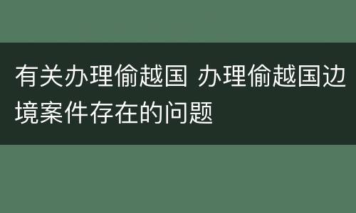 有关办理偷越国 办理偷越国边境案件存在的问题