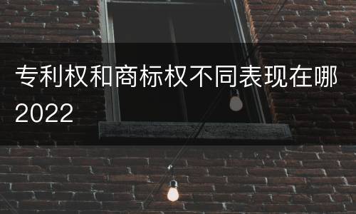 专利权和商标权不同表现在哪2022
