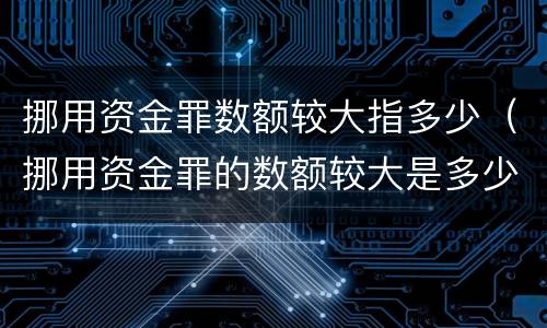 挪用资金罪数额较大指多少（挪用资金罪的数额较大是多少）
