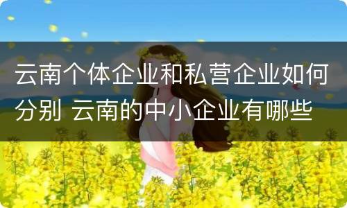 云南个体企业和私营企业如何分别 云南的中小企业有哪些