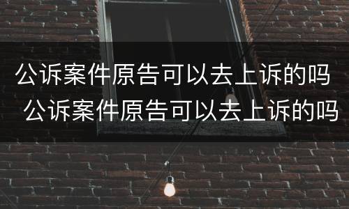 公诉案件原告可以去上诉的吗 公诉案件原告可以去上诉的吗法院