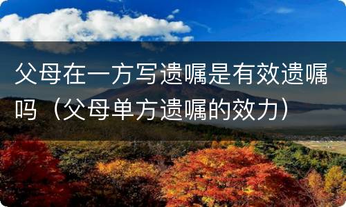 父母在一方写遗嘱是有效遗嘱吗（父母单方遗嘱的效力）