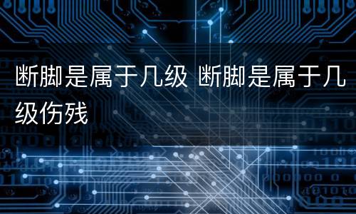 断脚是属于几级 断脚是属于几级伤残