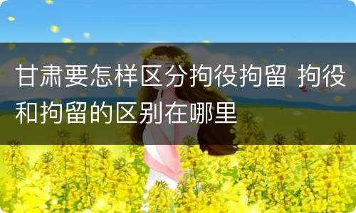 甘肃要怎样区分拘役拘留 拘役和拘留的区别在哪里