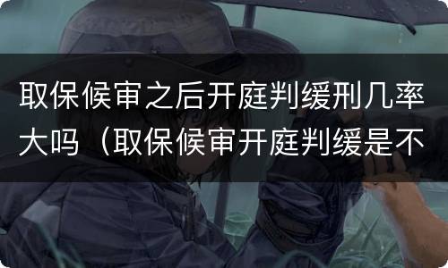 取保候审之后开庭判缓刑几率大吗（取保候审开庭判缓是不是几率大）