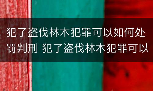 犯了盗伐林木犯罪可以如何处罚判刑 犯了盗伐林木犯罪可以如何处罚判刑吗