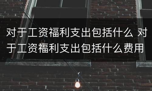 对于工资福利支出包括什么 对于工资福利支出包括什么费用