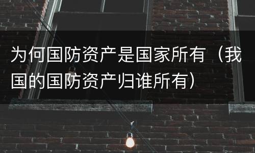 为何国防资产是国家所有（我国的国防资产归谁所有）