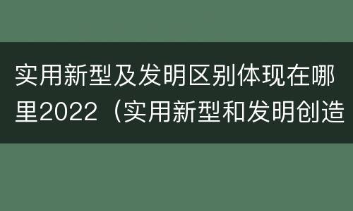 实用新型及发明区别体现在哪里2022（实用新型和发明创造）
