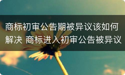 商标初审公告期被异议该如何解决 商标进入初审公告被异议成功率高吗