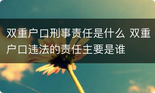 双重户口刑事责任是什么 双重户口违法的责任主要是谁