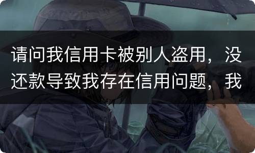 请问我信用卡被别人盗用，没还款导致我存在信用问题，我该怎么办