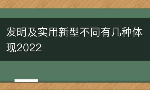 发明及实用新型不同有几种体现2022