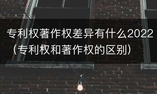 专利权著作权差异有什么2022（专利权和著作权的区别）