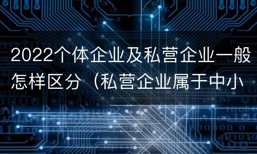 2022个体企业及私营企业一般怎样区分（私营企业属于中小企业吗）