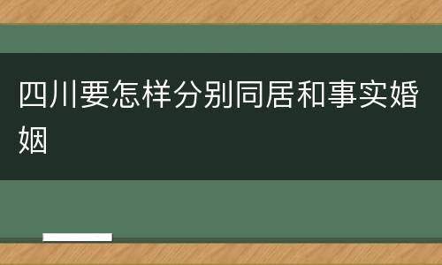 四川要怎样分别同居和事实婚姻