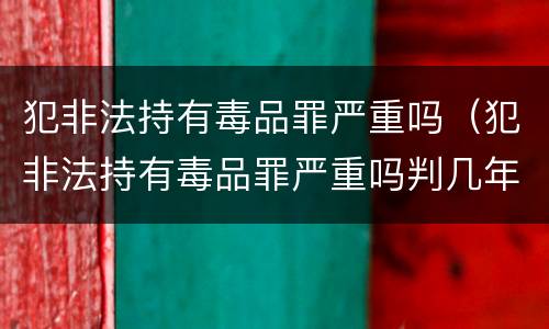 犯非法持有毒品罪严重吗（犯非法持有毒品罪严重吗判几年）