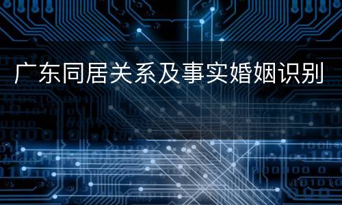 广东同居关系及事实婚姻识别