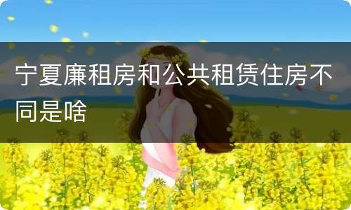 宁夏廉租房和公共租赁住房不同是啥