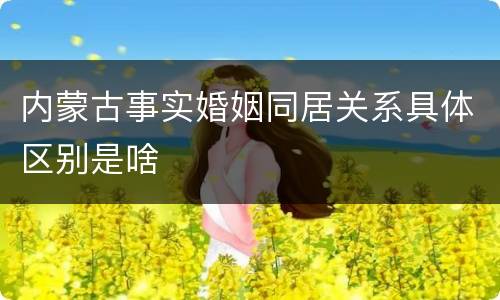 内蒙古事实婚姻同居关系具体区别是啥