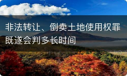 非法转让、倒卖土地使用权罪既遂会判多长时间