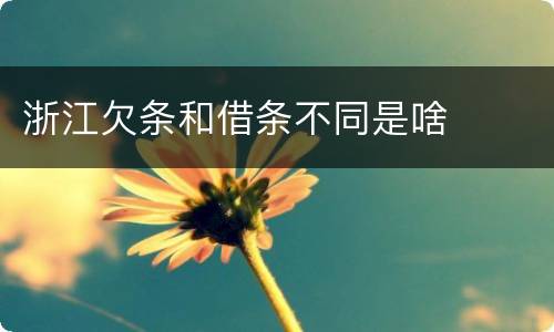 浙江欠条和借条不同是啥