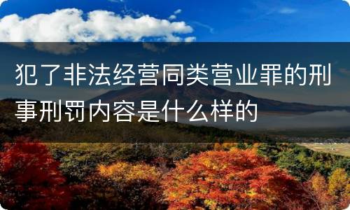 犯了非法经营同类营业罪的刑事刑罚内容是什么样的