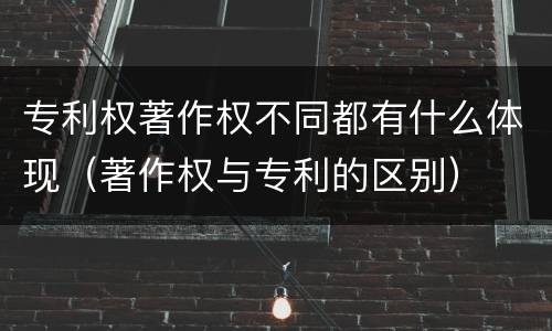 专利权著作权不同都有什么体现（著作权与专利的区别）