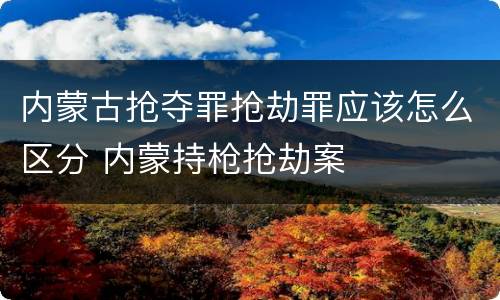 内蒙古抢夺罪抢劫罪应该怎么区分 内蒙持枪抢劫案