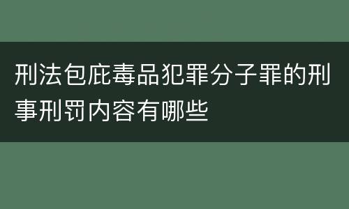 刑法包庇毒品犯罪分子罪的刑事刑罚内容有哪些