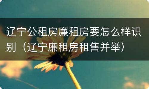 辽宁公租房廉租房要怎么样识别（辽宁廉租房租售并举）