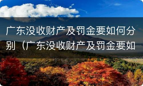 广东没收财产及罚金要如何分别（广东没收财产及罚金要如何分别缴纳）