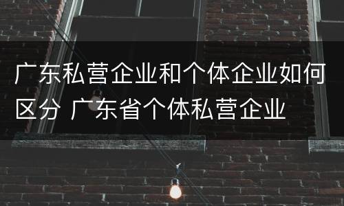 广东私营企业和个体企业如何区分 广东省个体私营企业