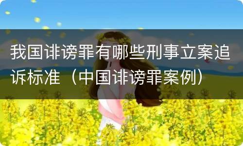 我国诽谤罪有哪些刑事立案追诉标准（中国诽谤罪案例）