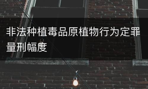非法种植毒品原植物行为定罪量刑幅度