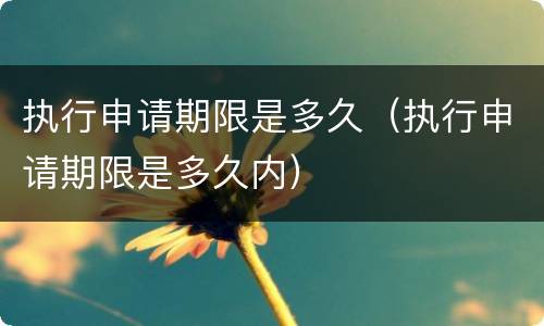 执行申请期限是多久（执行申请期限是多久内）